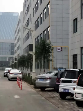 智慧燈桿系統(tǒng)：構(gòu)建智慧城市神經(jīng)網(wǎng)絡(luò)的核心樞紐